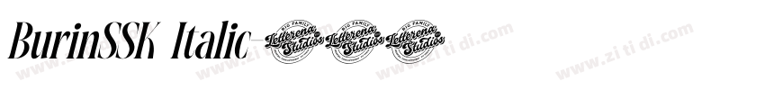 BurinSSK Italic字体转换 BurinSSK Italic字体转换